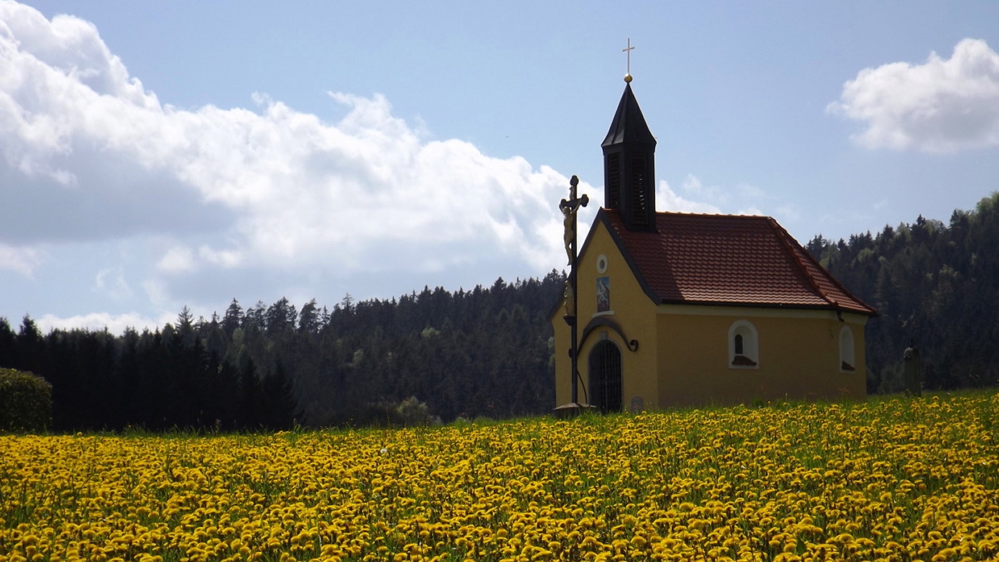 Schwedenkreuzkapelle mit Löwenzahn